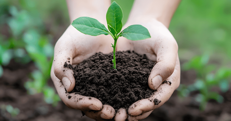 talajv&eacute;delem lehetős&eacute;gei